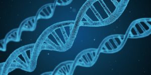 close up of three twisted blue DNA strands against a dark blue background