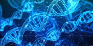 DNA strands can give you a lot of family information